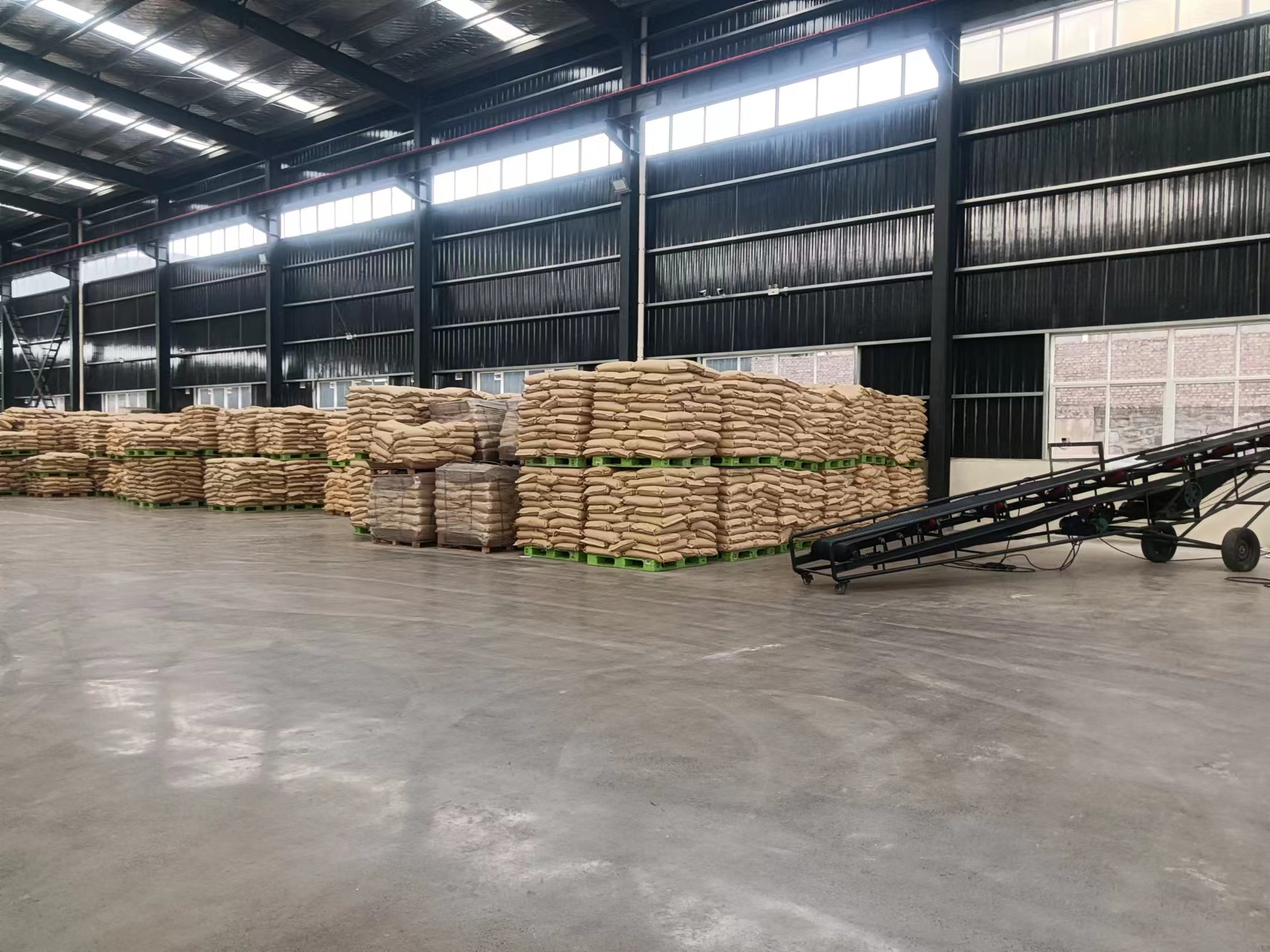 �۱�ϩ����