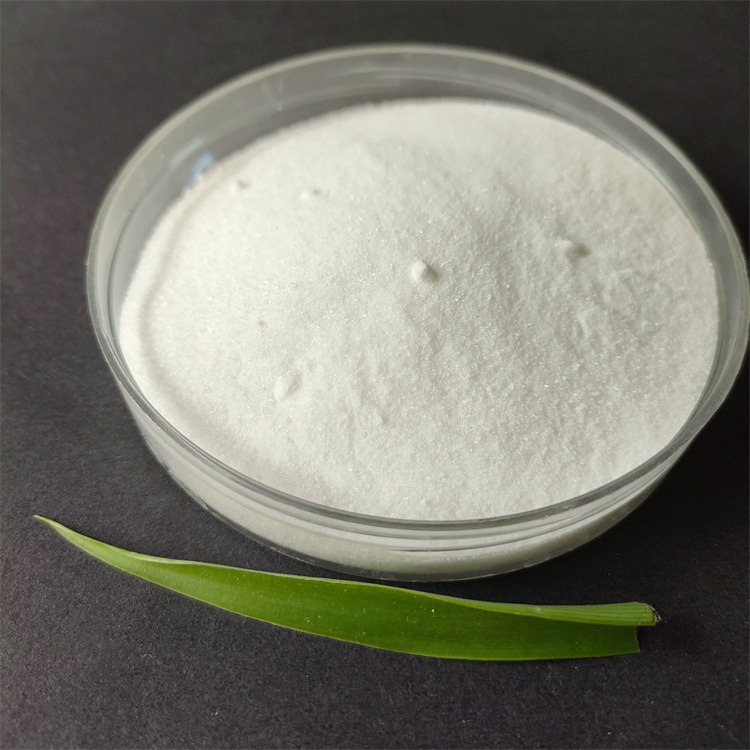 聚丙烯酰胺 聚丙烯酰胺