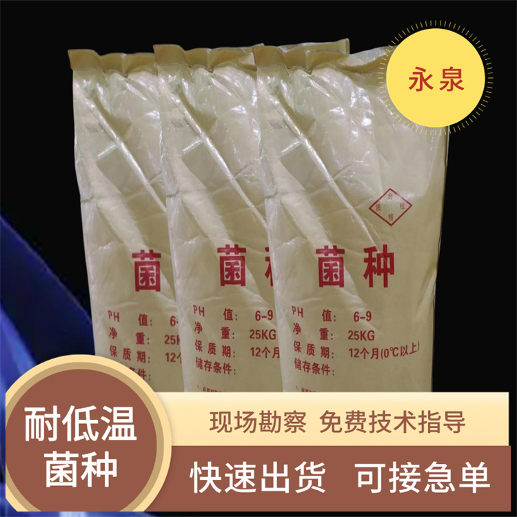 微生物菌種 微生物菌種